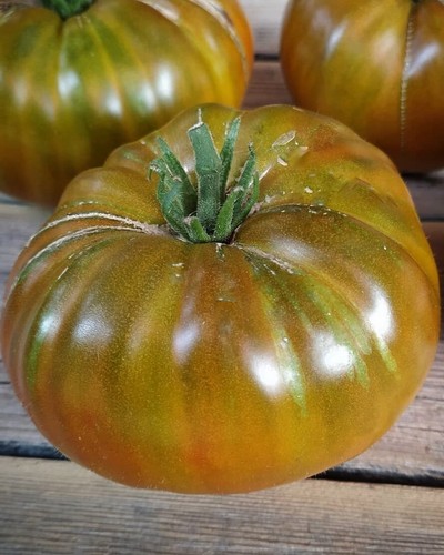 Pomodoro carne russo - da,